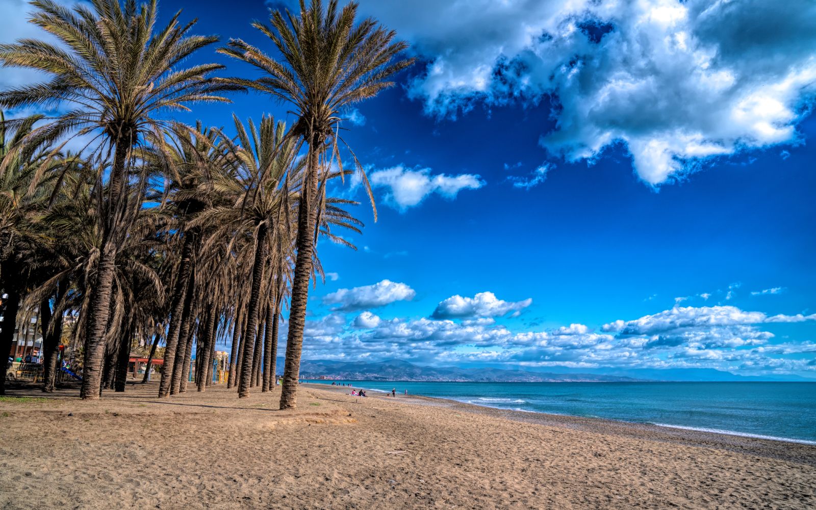 Torremolinos beach and palm trees Costa del Sol Spain Playa del Bajondillo Andalusia