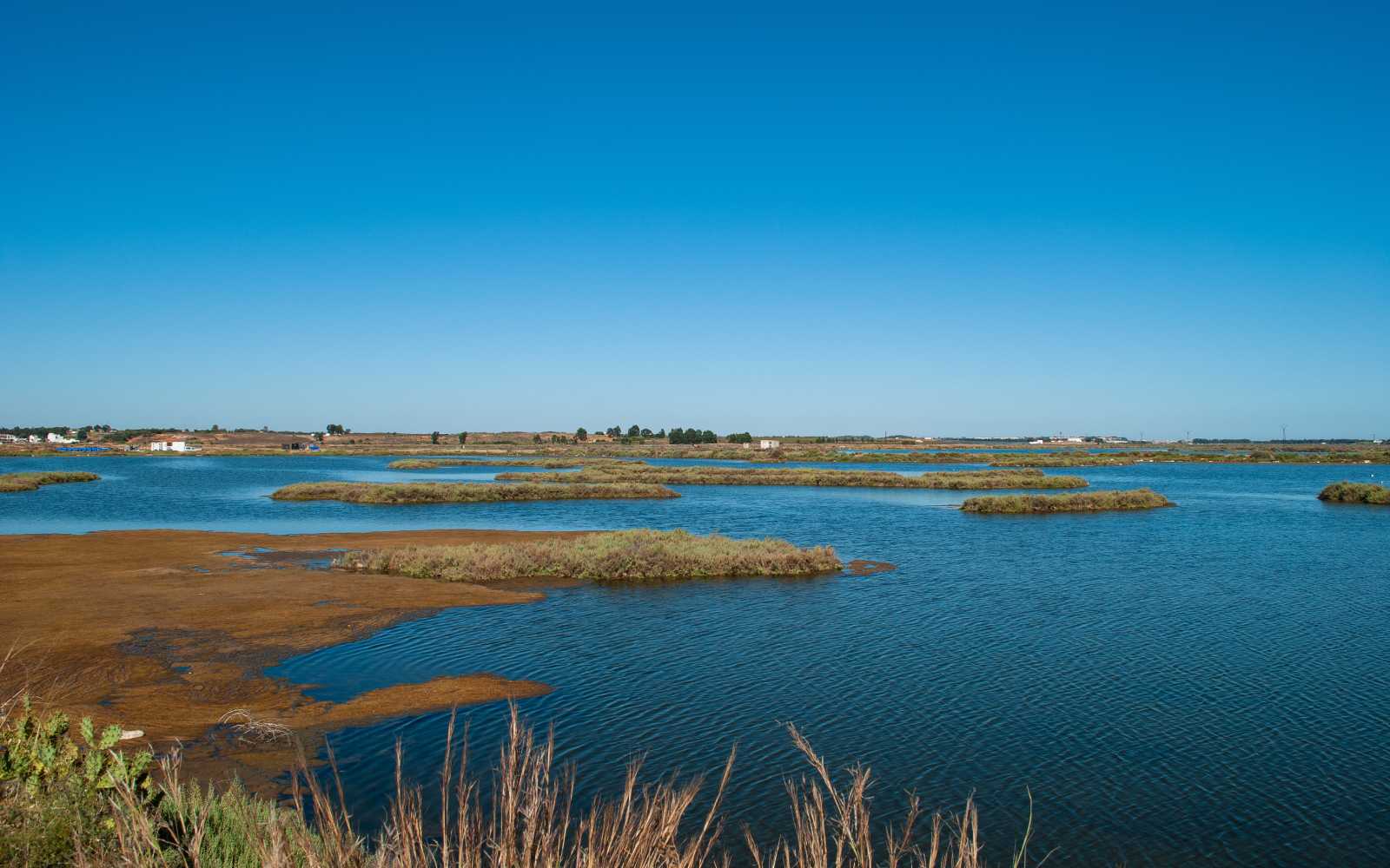 the Marismas of Isla Cristina in Huelva at high tide