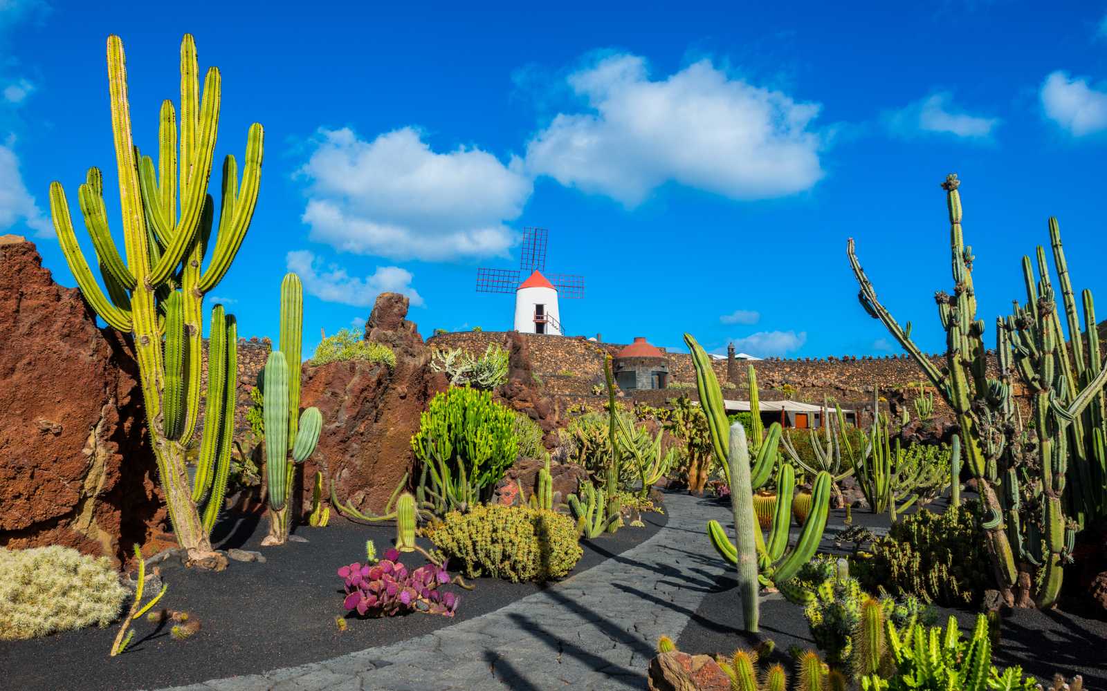 Cactus garden in Lanzarote, Canary Islands, Spain