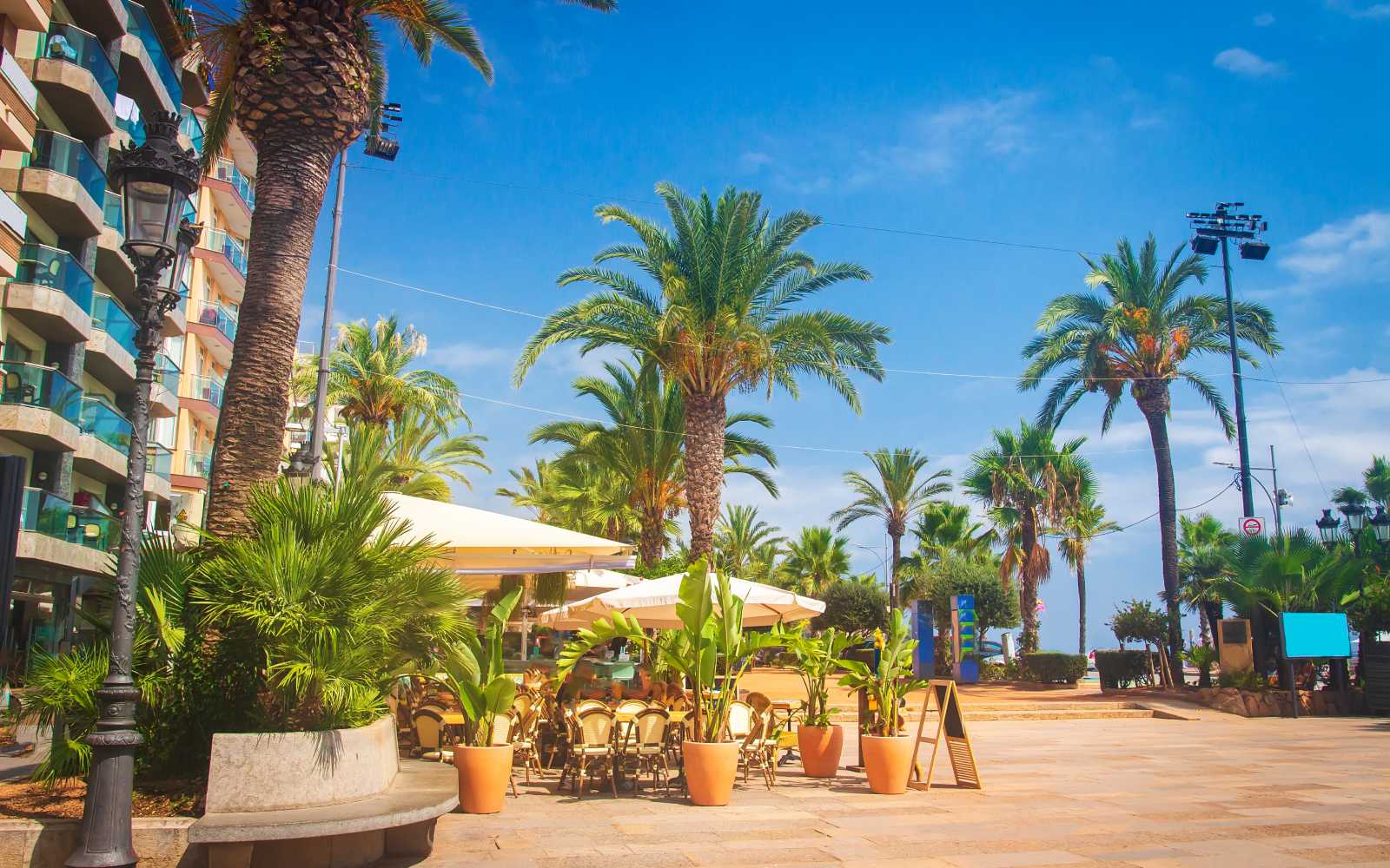 Palms trees on Waterfront in Lloret de Mar, Costa Brava, Spain