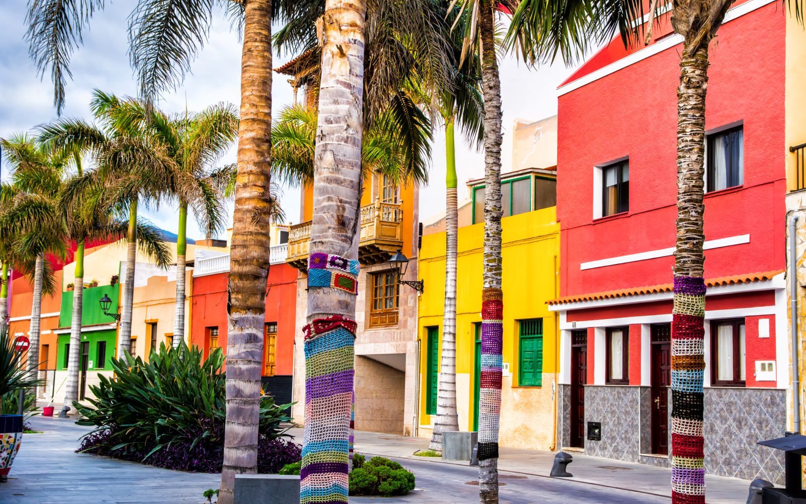 Colourful houses and palm trees on street in Puerto de la Cruz town, Tenerife, Canary Islands, Spain